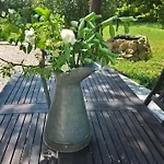 L'esperluette En Camargue 3* Uchaud