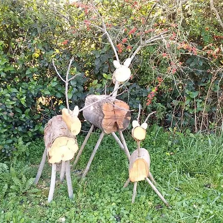 L'esperluette En Camargue Uchaud